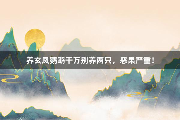 养玄凤鹦鹉千万别养两只，恶果严重！