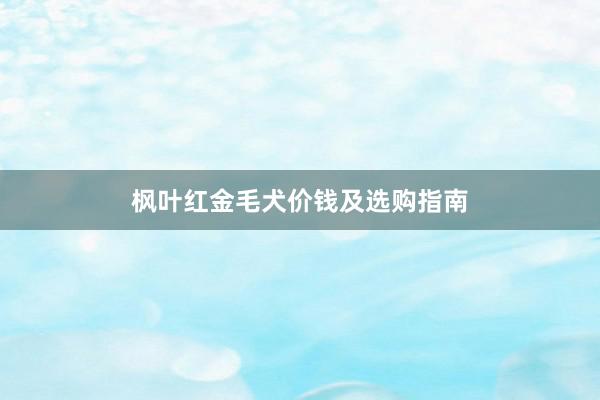 枫叶红金毛犬价钱及选购指南
