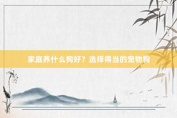 家庭养什么狗好？选择得当的宠物狗