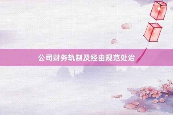 公司财务轨制及经由规范处治